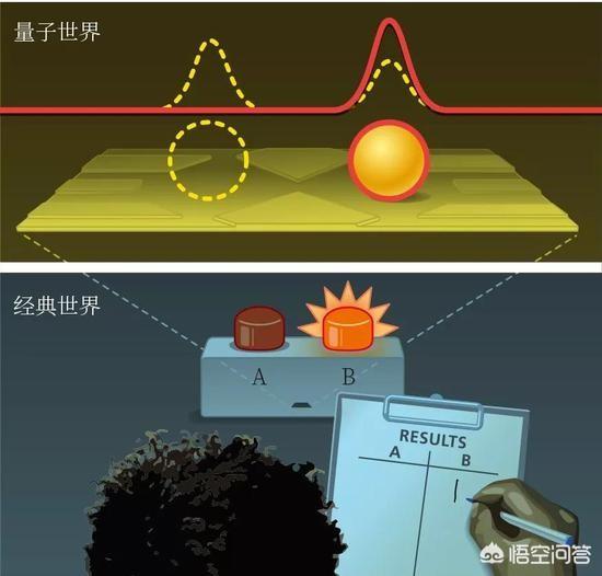 波米拉猫的图片:“薛定谔的猫”背后的物理学道理是什么？