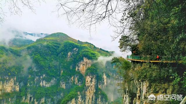 张家界凤凰旅游攻略(张家界凤凰旅游攻略网站)