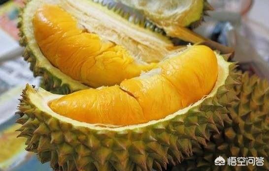 榴莲金菠萝图片:菠萝蜜和榴莲有什么区别？如何区分？