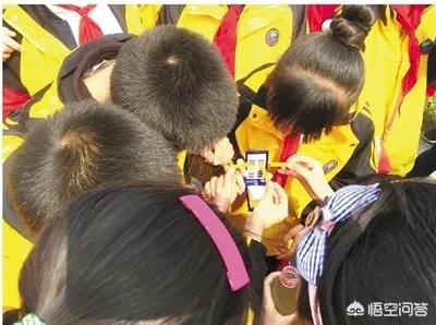 高清报告狗班长1:如何提高金毛犬对主人的服从性？