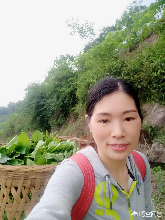 农民不出去打工,在家能干什么？