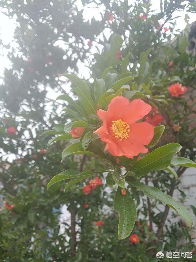 一句话来说说生活中你体验过的人情冷暖都有什么？