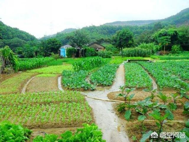 农村闲置空院常年没人住,怎么能合理利用起来,做什么好？