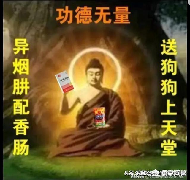 杭州狗叫扰民归哪管:楼上养狗，粪便尿扰民，怎么投诉？怎么办？