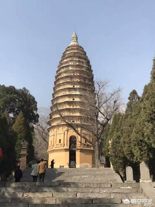 郑维山:大家对河南男人印象是什么？