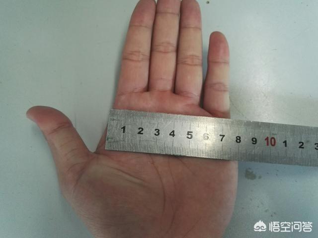 捉到一只小可爱是什么意思:捕捉一只小可爱是什么意思 农村老话：大手抓草小手抓宝，有道理吗？