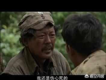 东北军的最后结局:张作霖的最终下场是什么？惨不惨？