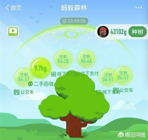 为什么有时候蚂蚁森林线下支付获得的能量只有5g,而其它环保类的就很多？