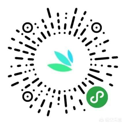微信群相册小程序:如何用微信小程序识花君拍照识花？