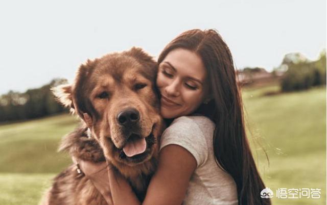 女人爱狗狗pp截图:为什么女生更喜欢饲养公狗狗呢？