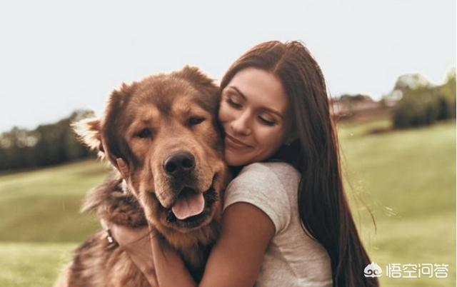女人爱狗狗pp截图:为什么有些女生喜欢狗狗呢？