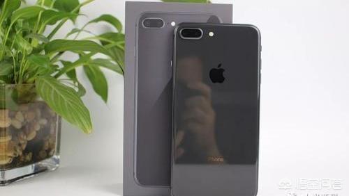 苹果6s要退休了，现在想换性价比高的苹果系列手机，哪一款比较好？插图41