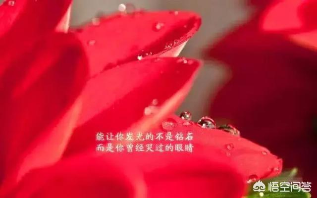 适合发<a href=https://maguai.com/list/256-0-0.html target=_blank class=infotextkey>朋友圈</a>的短句子伤感:有哪些句句心痛的伤感短句子？