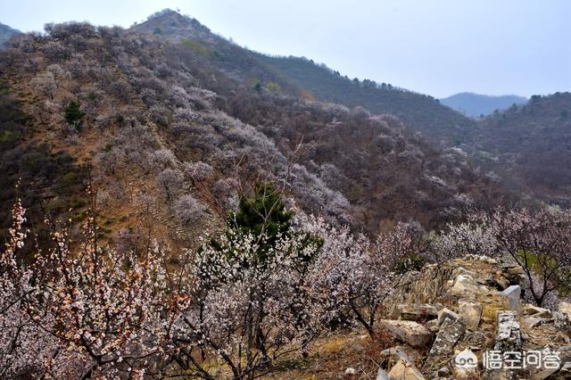 北极沙蟹扑克行:高考后去哪里旅行比较好？