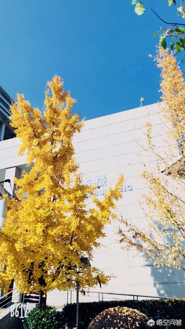 头条问答 - 有的人说在湖南长沙就读中南林业科技大学就算是很优秀的