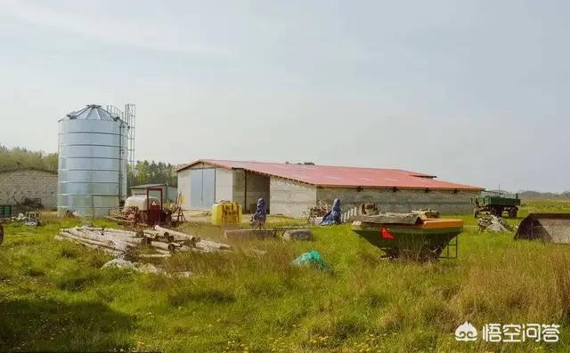 艺人大鹏违建拆除:如何看待大鹏遭敲诈勒索一案？