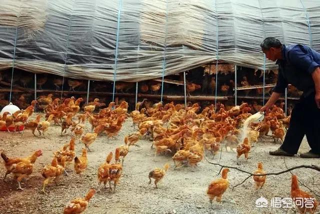 艺人大鹏违建拆除:如何看待大鹏遭敲诈勒索一案？