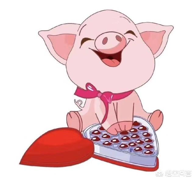 为什么魏晋南北朝时期的宗教信仰比较自由？