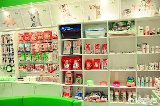 宠物店管理系统介绍:宠物店怎么对员工进行系统的培训？
