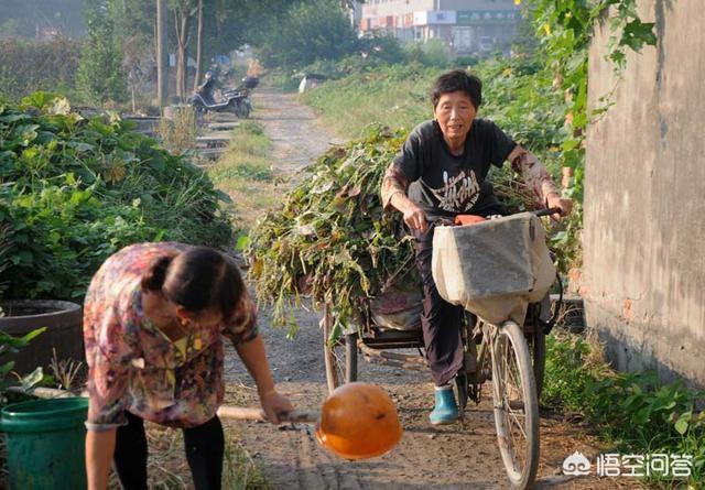 一般活到多少岁就算值了，一个人活到60岁还有必要活下去吗