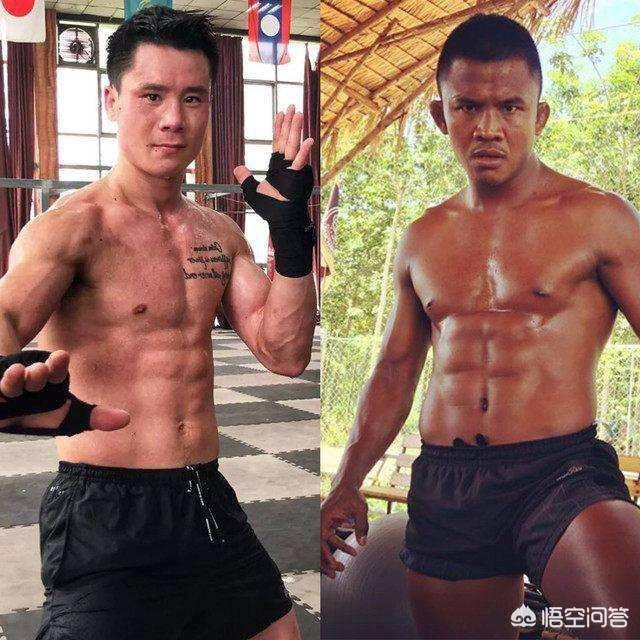 王伟豪:为什么现代搏击很少看到侧踹腿，都是鞭腿与正蹬？