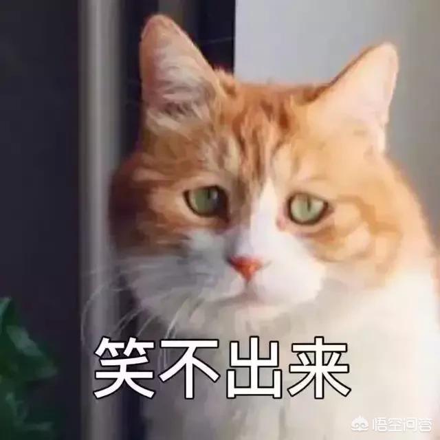 19年干什么生意比较好？