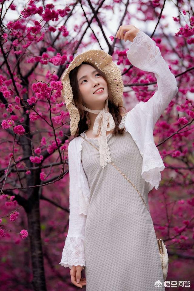 梁朝伟樱花照:你拍过最有春意的照片是什么样的
