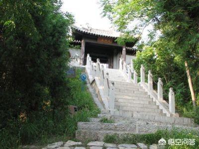 张依依大图:你遇到过最让你心疼的过气网红是谁？