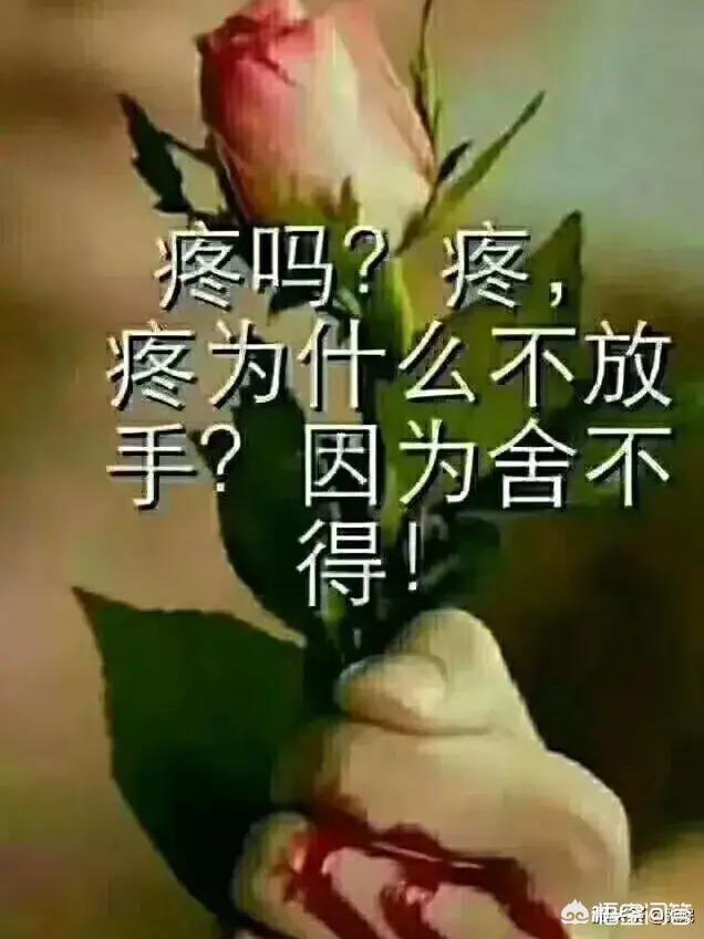 朴树被曝离婚:高晓松跟汪峰为什么互撕他们之间有什么矛盾