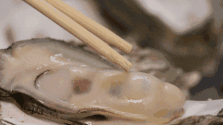 日本壮阳，生蚝是吃生的好，还是熟的好