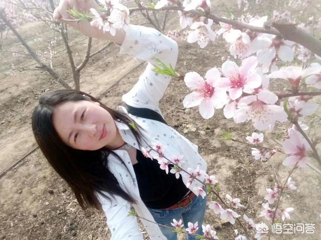 蝎子精:西游记中谁战胜了蝎子精？