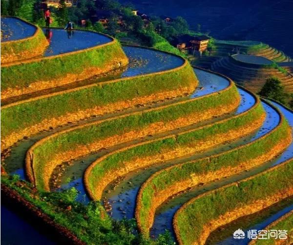 摄影师林德伯格去世:说到拍摄人像，你会首先想到怎样的照片