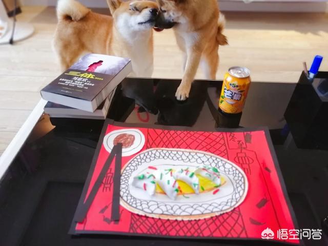 狗狗训练学校有用吗:训犬这个行业前景怎么样?好学吗？
