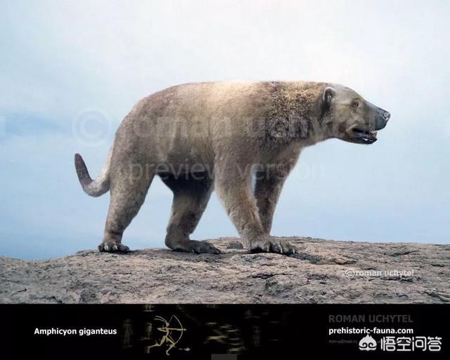 恐龙灭绝后人类出现前的地球，曾经出现过哪些生物圈霸主？