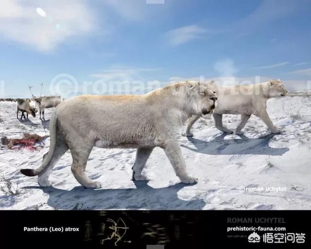 恐龙灭绝后人类出现前的地球，曾经出现过哪些生物圈霸主？
