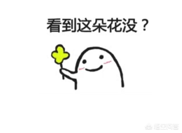 你在微信聊天时,有哪些最喜欢用的沙雕表情包？