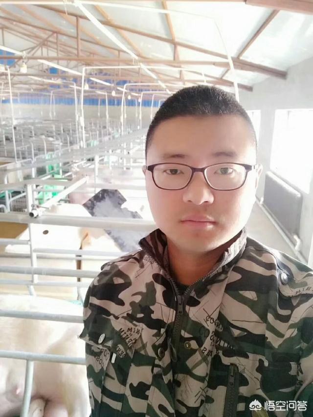 母猪怀孕天数该怎么计算？