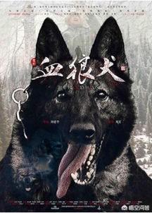 藏獒之王斗丧尸狼什么电影:如何评价电影《老师·好》？