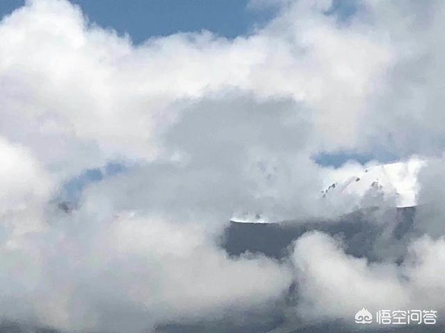 钓鱼猫现身柬埔寨网易:你今年有旅行计划吗，打算去哪里玩呢？
