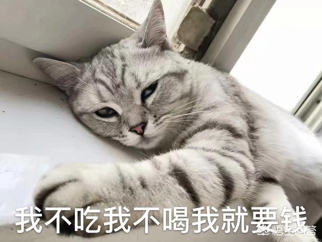 大家有没有可爱的图片可以分享？