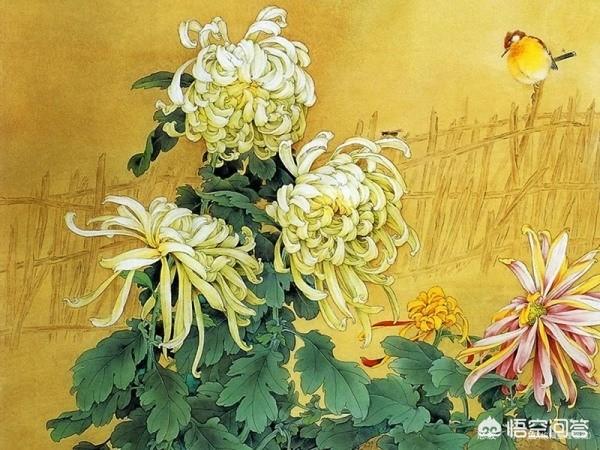 凯蒂普莱斯:中国英国法国的审美心理定势有什么特点