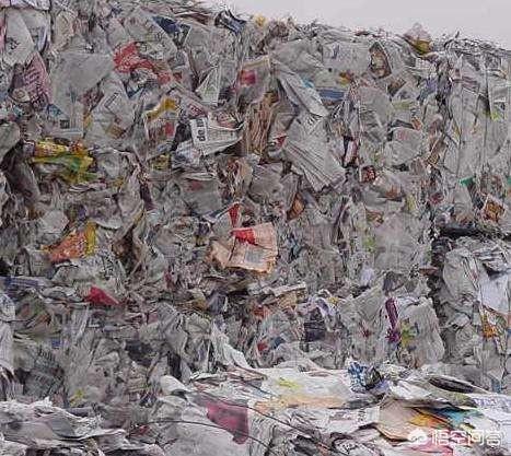 温州废纸，废塑料收购怎么样？