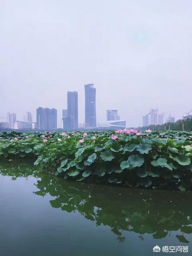 感觉高中的文言文很难,怎么学比较好？