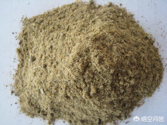 素力高海藻粉 用量:鱼粉加鸡肝粉钓鱼怎么搭配？