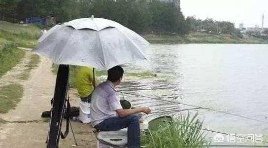 动物之森矛尾鱼雨天大海:“涨水鱼退水虾”，野河水位下降真的钓不到鱼吗？