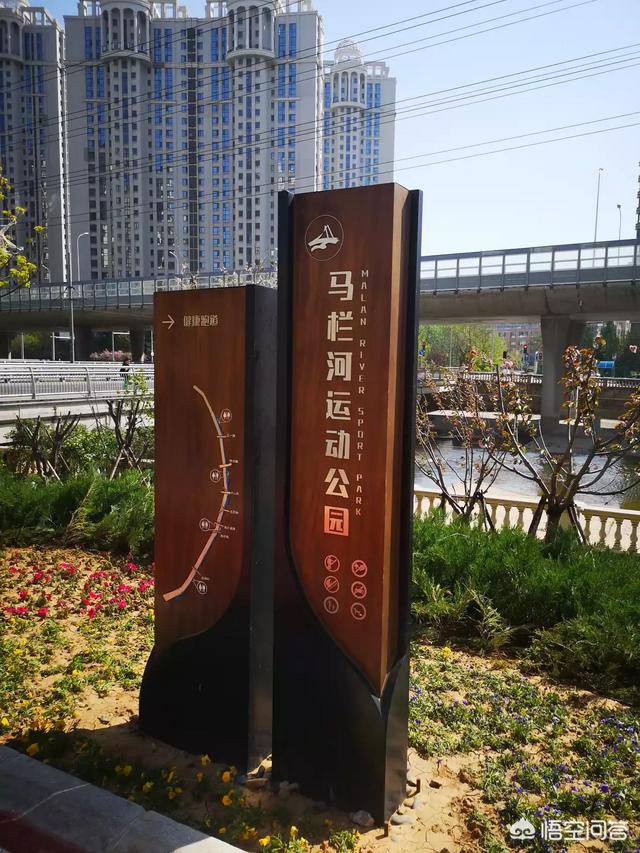 张栗坤:大连是不是特别多大美女？
