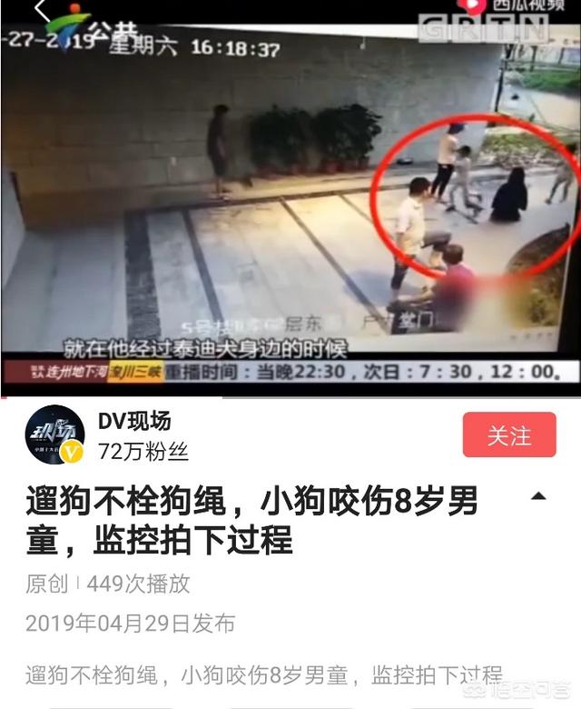 利辛有养狗的吗罗威那狗的吗:农村人差不多家家都养狗，你知道为什么吗？