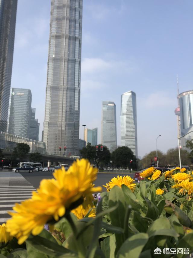 如何步入金融行业？