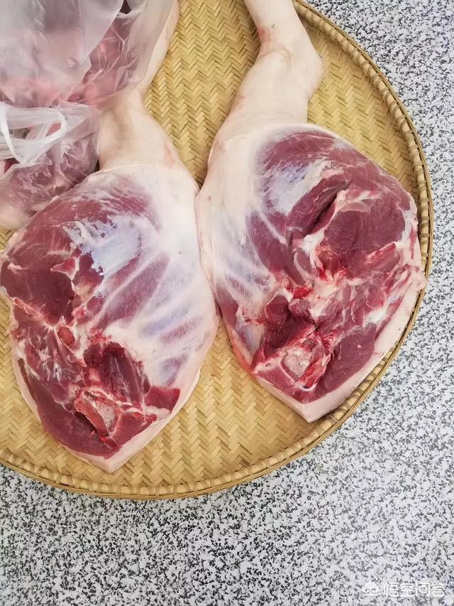 乐狗:蜀南竹海竹海风情农家乐请问店家可以带宠物狗吗？