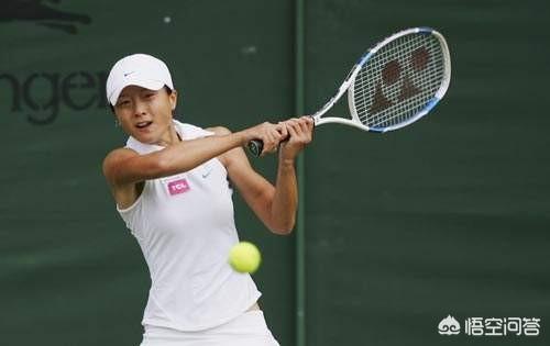 网球李娜:我想问一下中国网球女将李娜的成就到底有多高？
